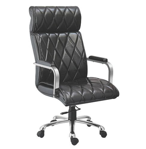Director Chair